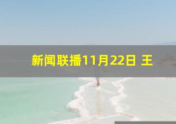 新闻联播11月22日 王